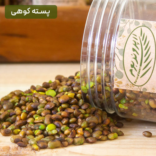 پستهٔ کوهی